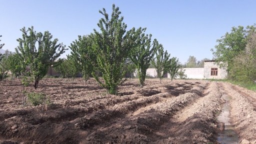 Самаркандская область, Ургут