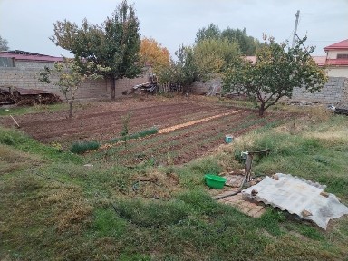 Ташкентская область, Кибрай