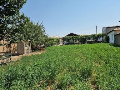 Ташкентская область, Нурафшан (Тойтепа)