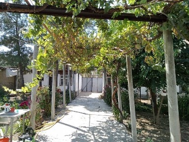 Ташкентская область, Ташкент, Бектемирский район