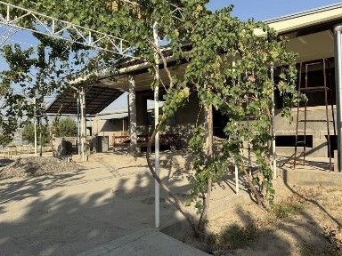 Ташкентская область, Чиназ