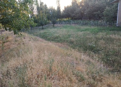 Ташкентская область, Кибрай