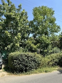 Ташкентская область, Ташкент, Шайхантахурский район