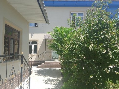 Ташкентская область, Янгибазар