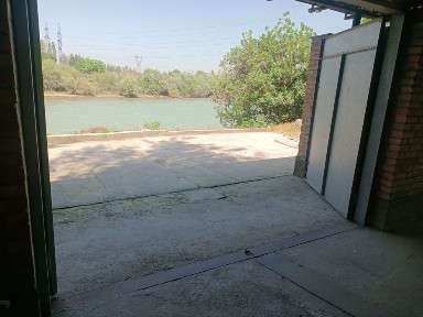 Ташкентская область, Янгибазар