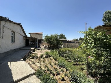 Hovli sotiladi 11 sotix