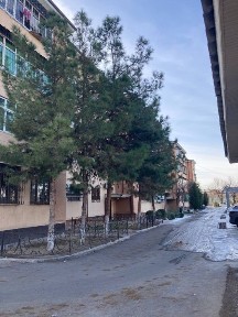 Ташкентская область, Ташкент, Учтепинский район