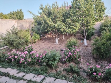 Qibray vodokanal kochasida 6 sotx uy sotiladi