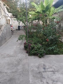 Ташкентская область, Ташкент, Чиланзарский район