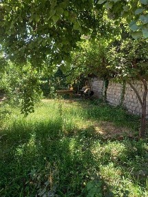 Ташкентская область, Искандар