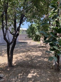 Ташкентская область, Ташкент, Алмазарский район