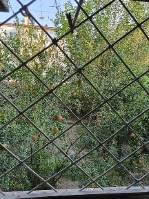 Навоийская область, Навои