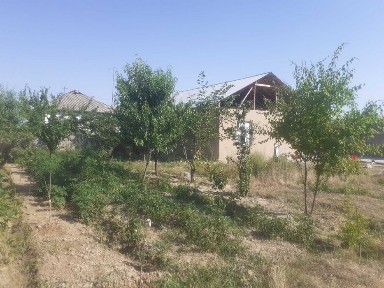 Ташкентская область, Янгиюль