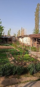 Ташкентская область, Кибрай