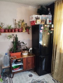 Ташкентская область, Нурафшан (Тойтепа)