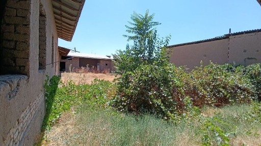 Ташкентская область, Кибрай