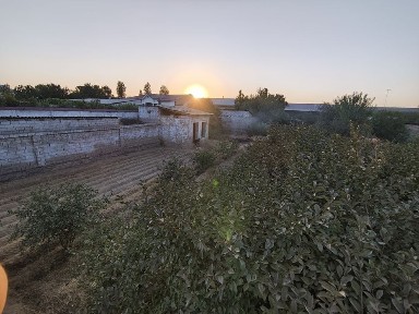 Ташкентская область, Зангиата