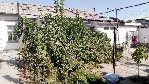 Ташкентская область, Ташкент, Мирабадский район