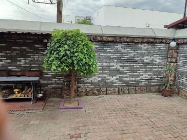 Ташкентская область, Ташкент, Сергелийский район