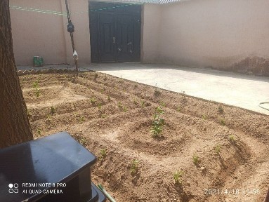 Ташкентская область, Ташкент, Юнусабадский район