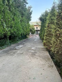 Ташкентская область, Эшангузар