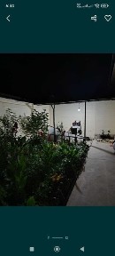 Ташкентская область, Кибрай