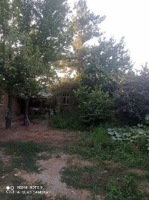 Ташкентская область, Кибрай