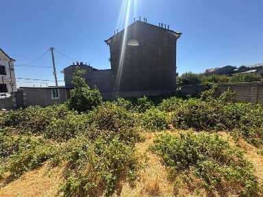 Ташкентская область, Келес