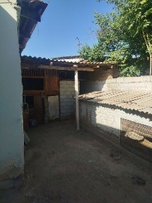 Срочно 3 суток ховли сотилади