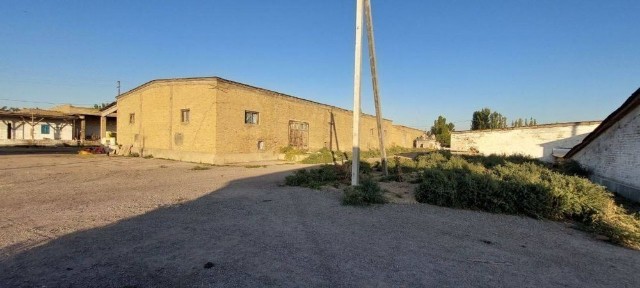 Ташкентская область, Нурафшан (Тойтепа)