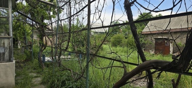 Ташкентская область, Янгибазар