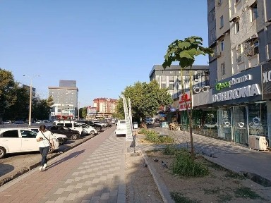 Ташкентская область, Ташкент, Яшнабадский район