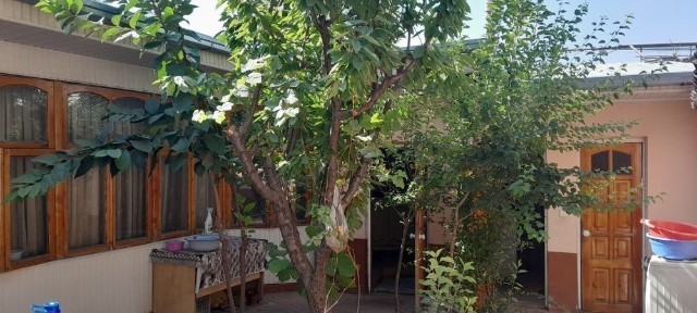 Ташкентская область, Ташкент, Шайхантахурский район