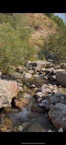 Ташкентская область, Чарвак