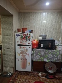 Ташкентская область, Алмалык