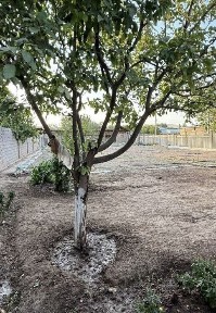 Ташкентская область, Чирчик