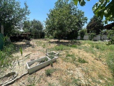 Ташкентская область, Зангиата