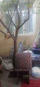 Ташкентская область, Ташкент, Мирабадский район