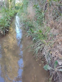 Ташкентская область, Чирчик