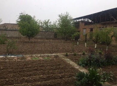 Uy sotiladi (kichkina Ittifoqda) 8 sotix sotiladi