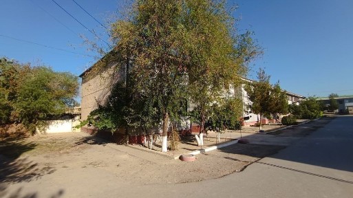 Андижанская область, Боз