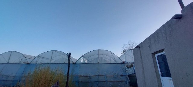 Turar joy (issiqxona)