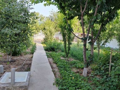 Ташкентская область, Янгибазар