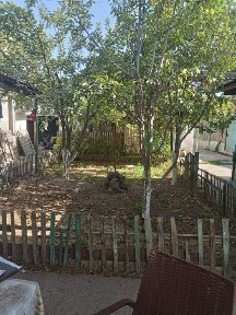 Ташкентская область, Ташкент, Яшнабадский район