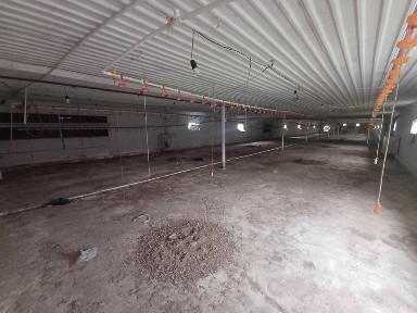 Ташкентская область, Ахангаран