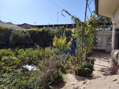 Ташкентская область, Ташкент, Алмазарский район