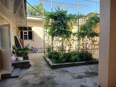 Ташкентская область, Ташкент, Шайхантахурский район