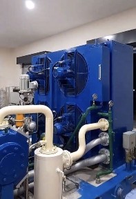 Ташкентская область, Ташкент, Сергелийский район