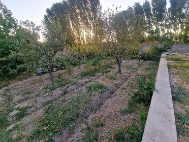 Ташкентская область, Кибрай