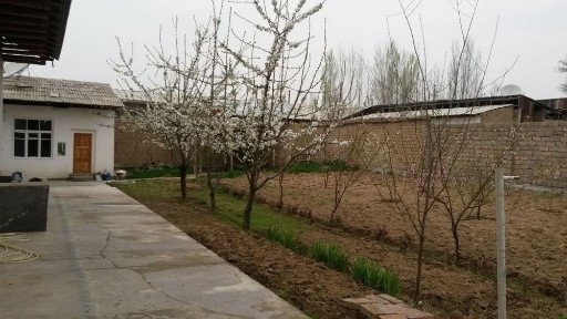 Ташкентская область, Келес